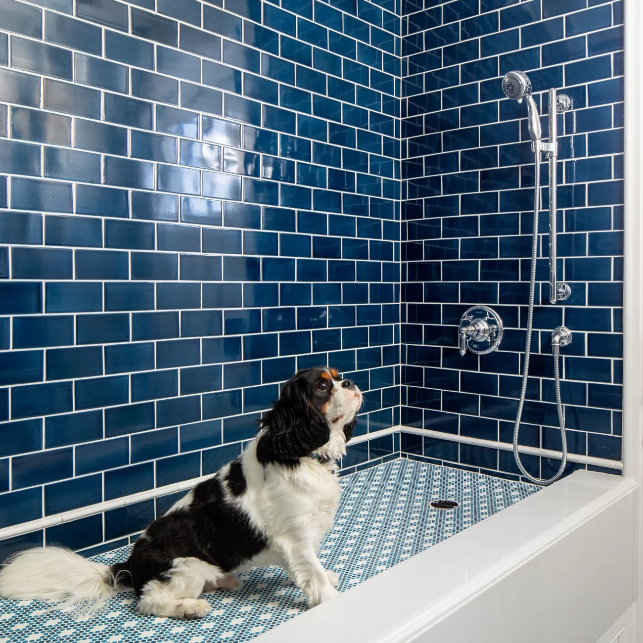 Christine Vroom Interiors Strawberry Lane | Dark blue subway tiles in contemporary bathroom inside glass shower