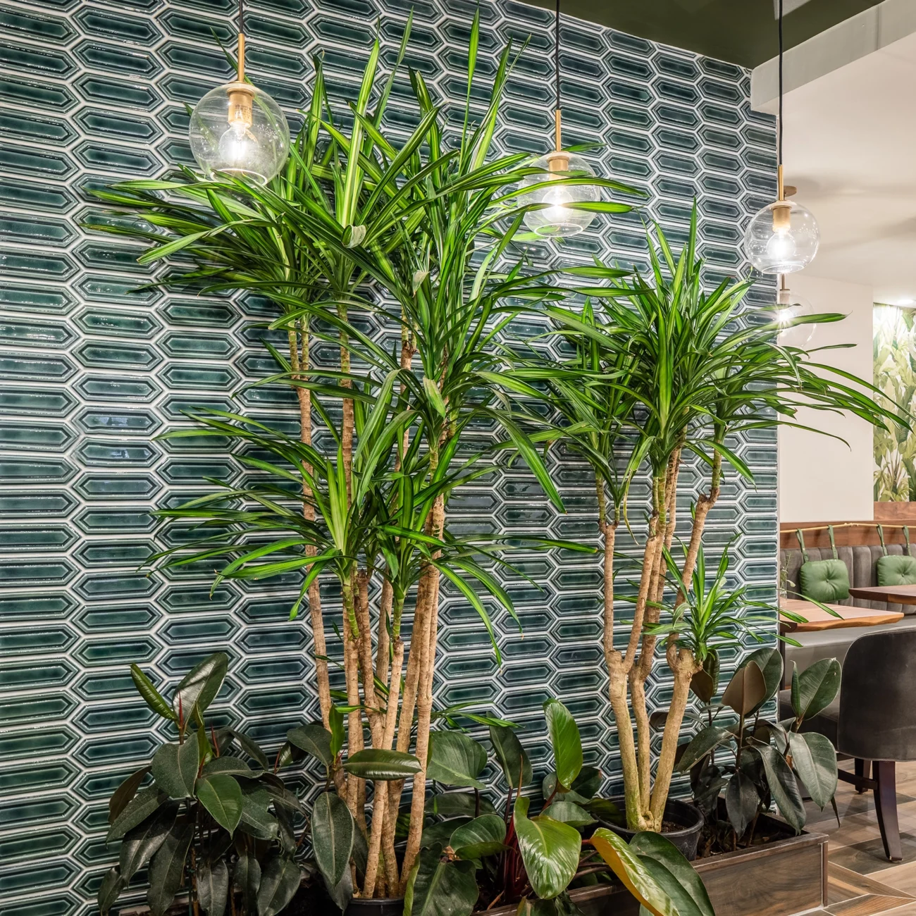 Christine Vroom Interiors Pacific Standard | Contemporary Restaurant Planter with tall plants against a green geometric tiled wall
